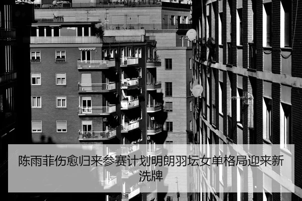 陈雨菲伤愈归来参赛计划明朗羽坛女单格局迎来新洗牌